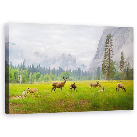 Tablou Canvas - Un Sentiment Al Vremurilor Antice, Marime: 50 x 80 cm - - Roveli