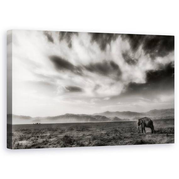 Tablou Canvas - Regatul - - Roveli