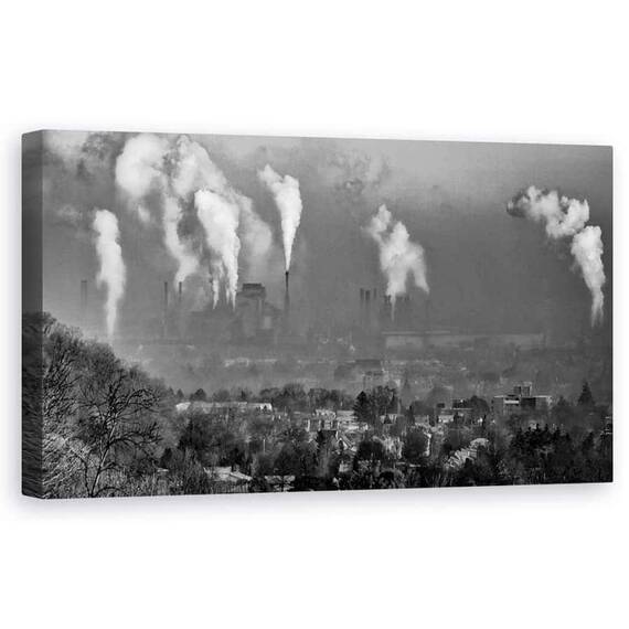 Tablou Canvas - Aerul Pe Care il Respiram, Marime: 50 x 100 cm - - Roveli