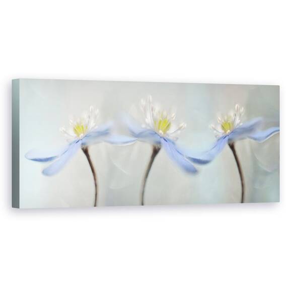 Tablou Canvas - Anemone Dansatoare, Marime: 30 x 90 cm - - Roveli