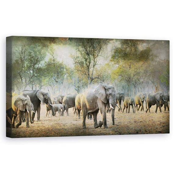 Tablou Canvas - Salbatic, Marime: 50 x 100 cm - - Roveli