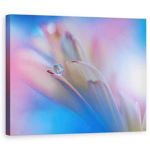Tablou Canvas - Atinge-Ma Incet - - Roveli