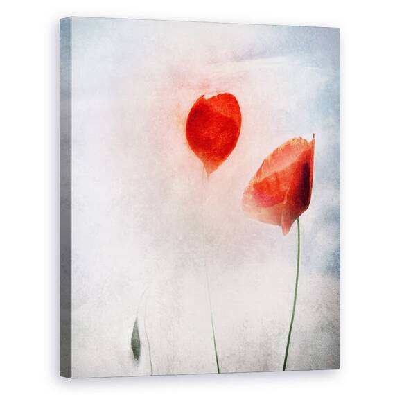 Tablou Canvas - Campurile Flandrei, Marime: 60 x 75 cm - - Roveli