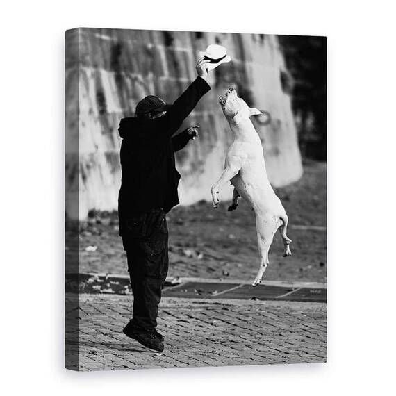 Tablou Canvas - Sarind Cu Prietenul Meu, Marime: 75 x 100 cm - - Roveli