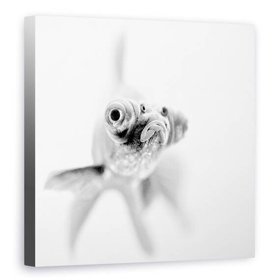Tablou Canvas - Gata Pentru Apropiere, Marime: 90 x 90 cm - - Roveli