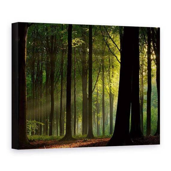 Tablou Canvas - Inainte De Cadere, Marime: 75 x 100 cm - - Roveli