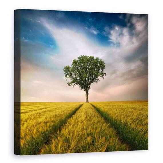 Tablou Canvas - Unul, Marime: 90 x 90 cm - - Roveli