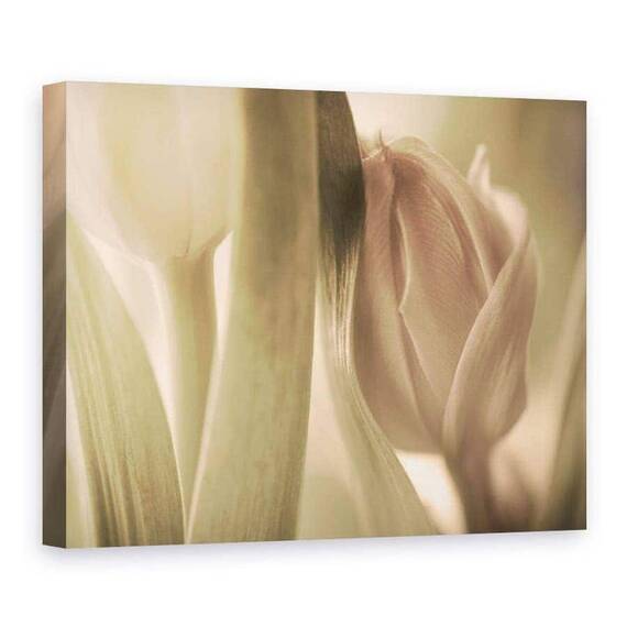Tablou Canvas - Lalele, Marime: 75 x 100 cm - - Roveli