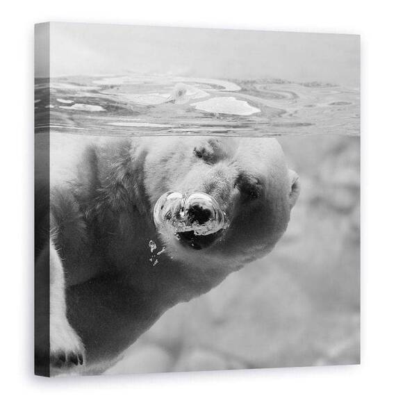 Tablou Canvas - Bule, Marime: 90 x 90 cm - - Roveli