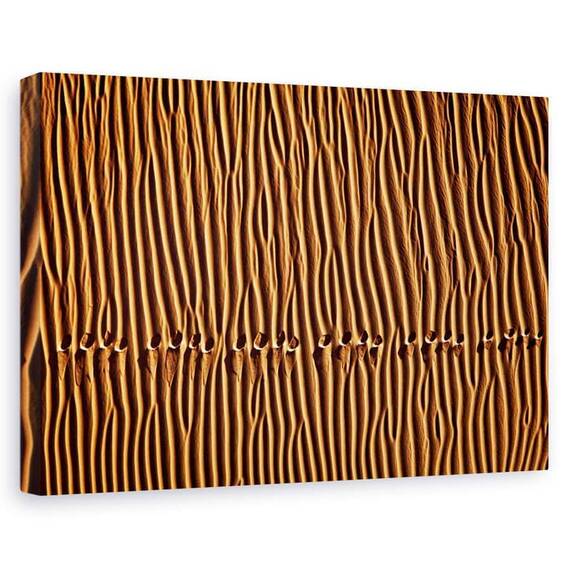 Tablou Canvas - Urma, Marime: 60 x 90 cm - - Roveli