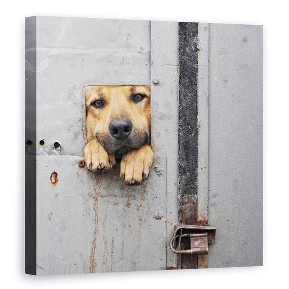 Tablou Canvas - Fereastra Lui Benji - - Roveli