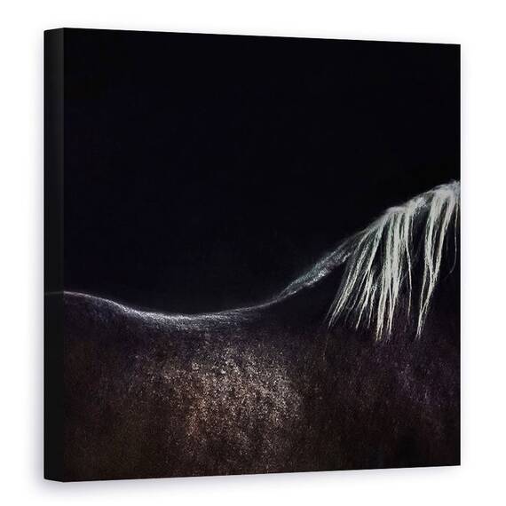 Tablou Canvas - Calul Gol, Marime: 90 x 90 cm - - Roveli