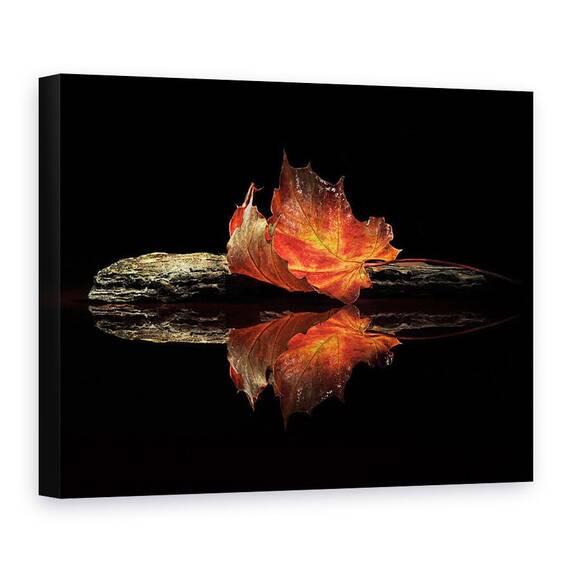 Tablou Canvas - Culori De Toamna, Marime: 75 x 100 cm - - Roveli