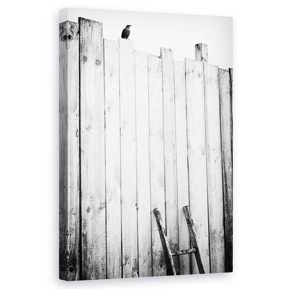 Tablou Canvas - Eliberat, Marime: 50 x 80 cm - - Roveli