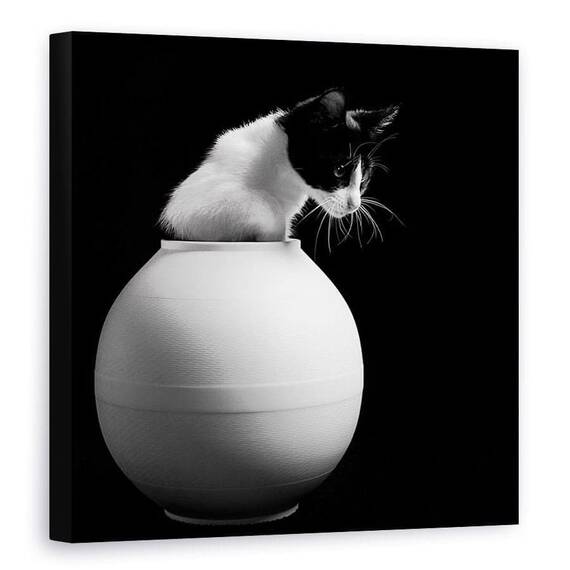 Tablou Canvas - Chanel, Marime: 90 x 90 cm - - Roveli