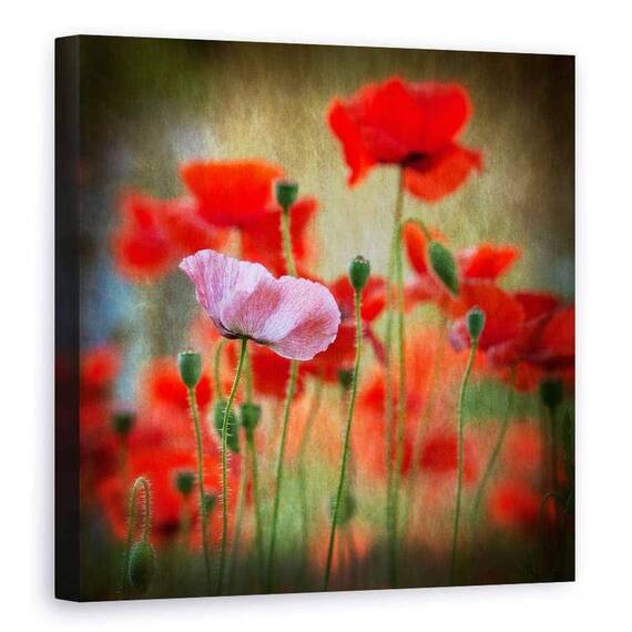 Tablou Canvas - Unul, Marime: 90 x 90 cm - - Roveli