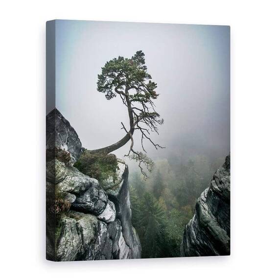 Tablou Canvas - In Ciuda Greutatilor, Marime: 75 x 100 cm - - Roveli