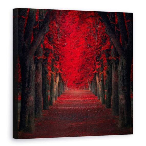 Tablou Canvas - Pasiune Nesfarsita, Marime: 90 x 90 cm - - Roveli