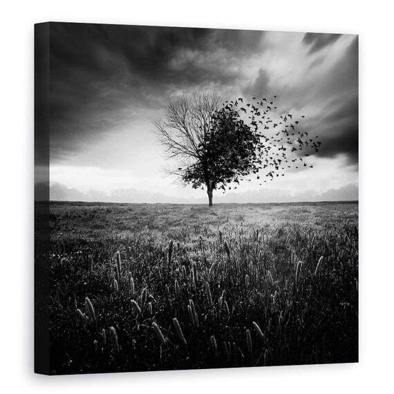 Tablou Canvas - Iluzia Unei Primaveri Pierdute, Marime: 90 x 90 cm - - Roveli