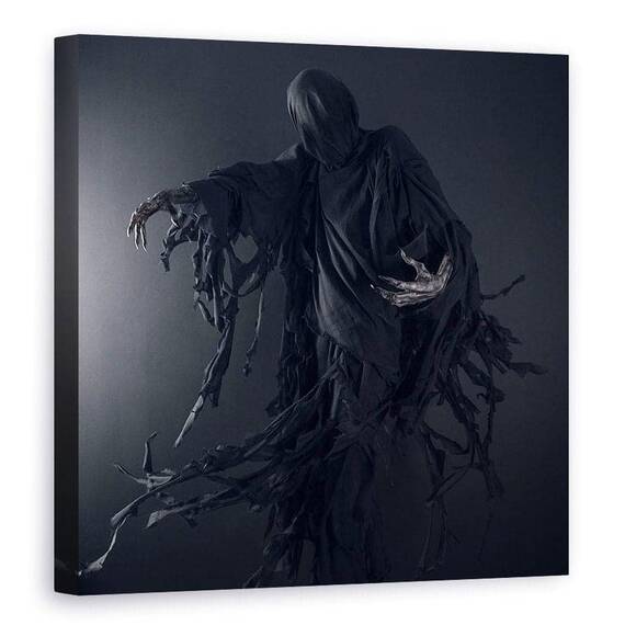 Tablou Canvas - Dementor, Marime: 90 x 90 cm - - Roveli