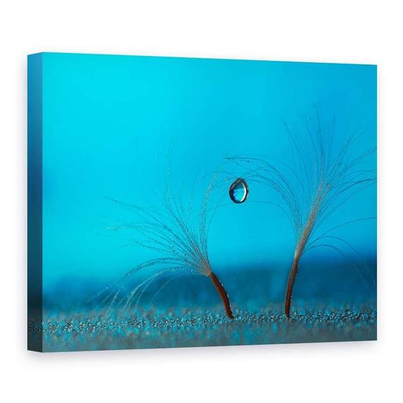 Tablou Canvas - Pastreaza Echilibrul, Marime: 75 x 100 cm - - Roveli