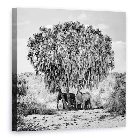 Tablou Canvas - Intalnire La Pranz, Marime: 90 x 90 cm - - Roveli