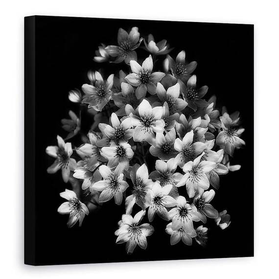 Tablou Canvas - Senzatie Timpurie, Marime: 90 x 90 cm - - Roveli