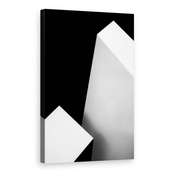 Tablou Canvas - Nero Bianco, Marime: 60 x 90 cm - - Roveli