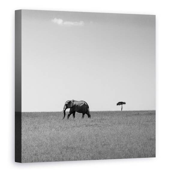 Tablou Canvas - Elefantul Si Norul Prietenos, Marime: 90 x 90 cm - - Roveli