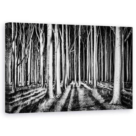 Tablou Canvas - Padurea Fantoma, Marime: 50 x 80 cm - - Roveli
