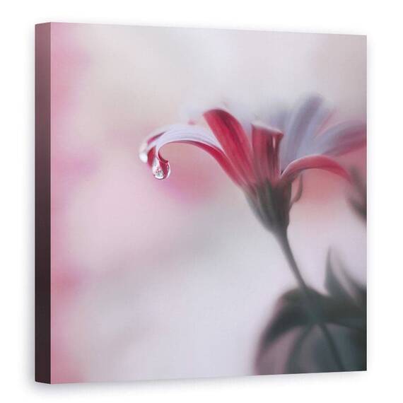 Tablou Canvas - Atingere Invizibila - - Roveli