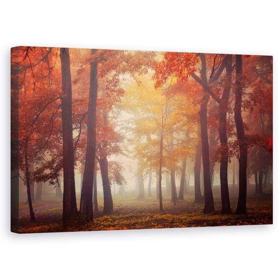 Tablou Canvas - Simte, Marime: 50 x 80 cm - - Roveli