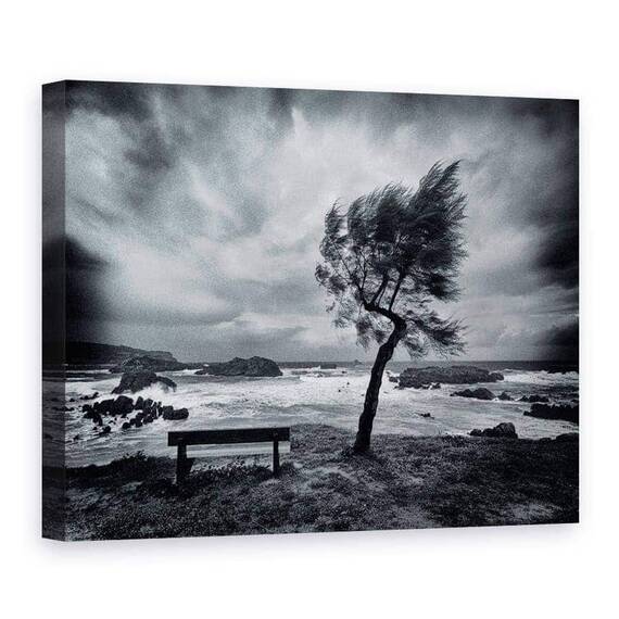 Tablou Canvas - Astazi Nimeni, Marime: 75 x 100 cm - - Roveli
