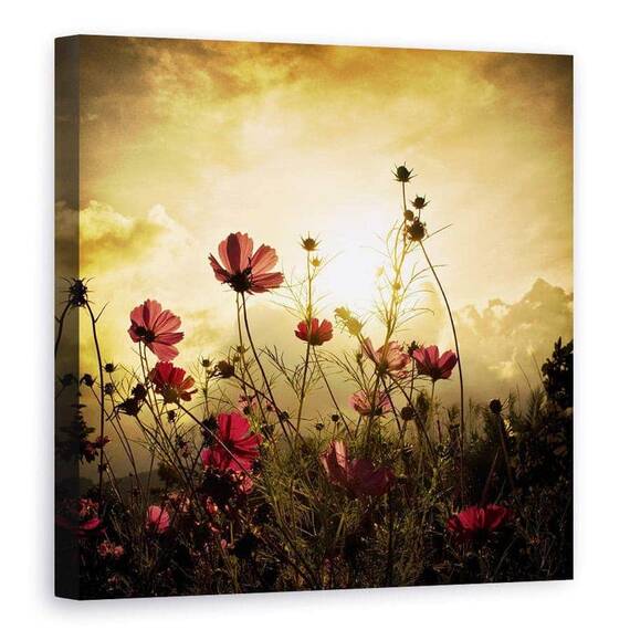 Tablou Canvas - Privind Soarele, Marime: 90 x 90 cm - - Roveli