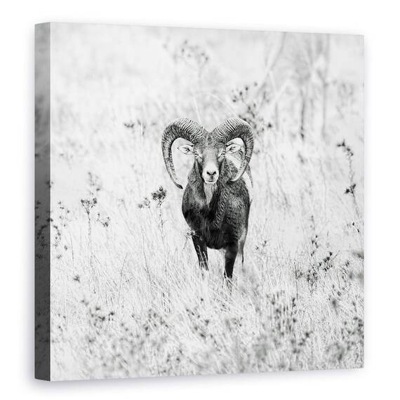 Tablou Canvas - Natura, Marime: 90 x 90 cm - - Roveli