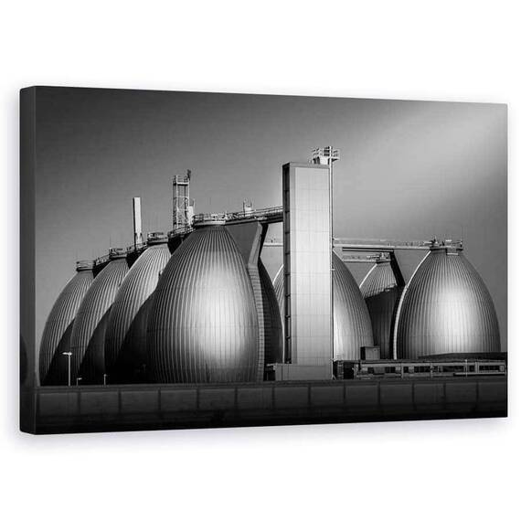 Tablou Canvas - Oua, Marime: 50 x 80 cm - - Roveli