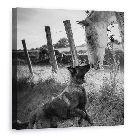 Tablou Canvas - Sarutul Prietenului, Marime: 90 x 90 cm - - Roveli