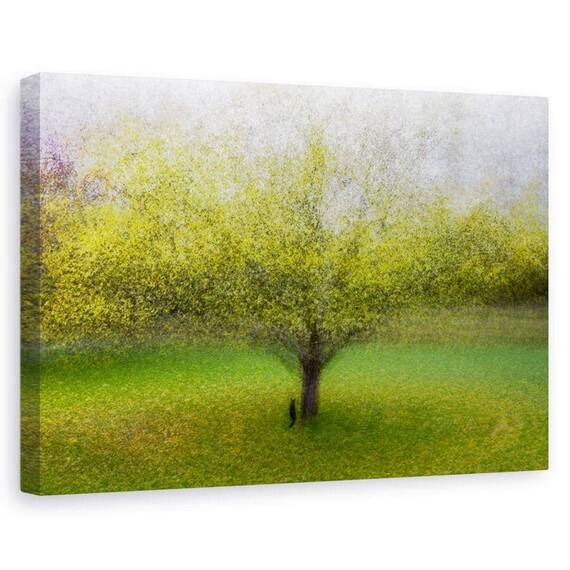 Tablou Canvas - Pisica De Langa Copac, Marime: 60 x 90 cm - - Roveli
