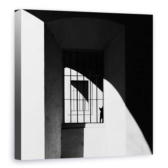 Tablou Canvas - Pisica Neagra, Marime: 90 x 90 cm - - Roveli