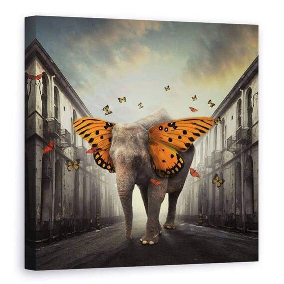 Tablou Canvas - Butterphant, Marime: 90 x 90 cm - - Roveli