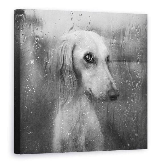Tablou Canvas - Toamna, Marime: 90 x 90 cm - - Roveli