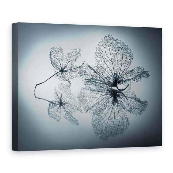 Tablou Canvas - Frumusete Efemera, Marime: 75 x 100 cm - - Roveli