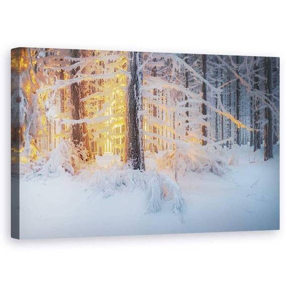 Tablou Canvas - Vis Tacut - - Roveli