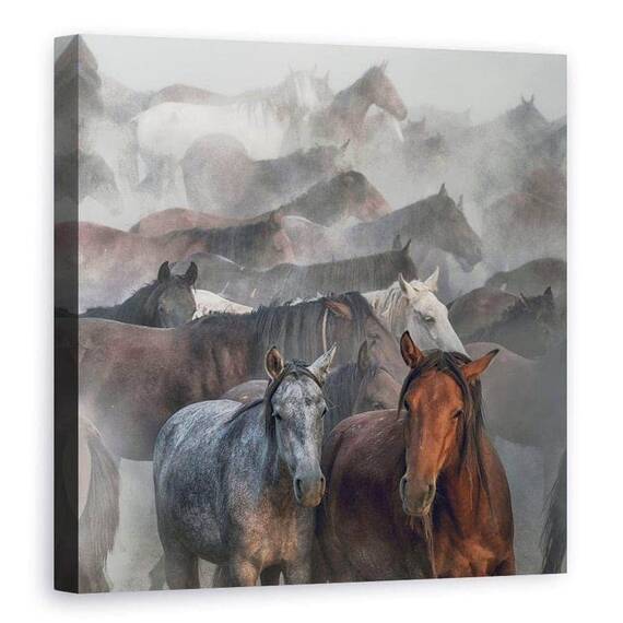 Tablou Canvas - Doi Cai, Marime: 90 x 90 cm - - Roveli