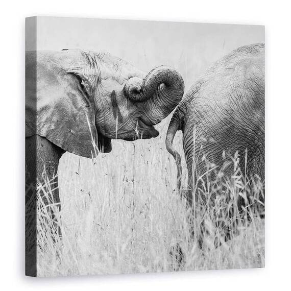 Tablou Canvas - Itrunk, Marime: 90 x 90 cm - - Roveli