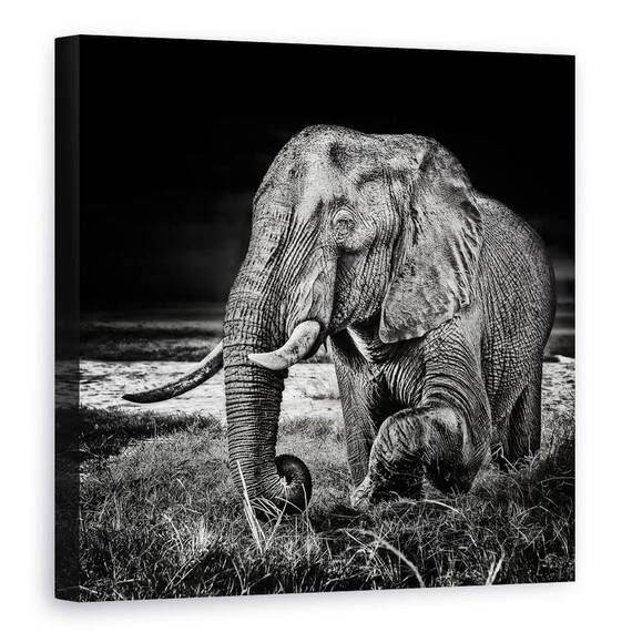 Tablou Canvas - Apus La Waterhole, Marime: 90 x 90 cm - - Roveli