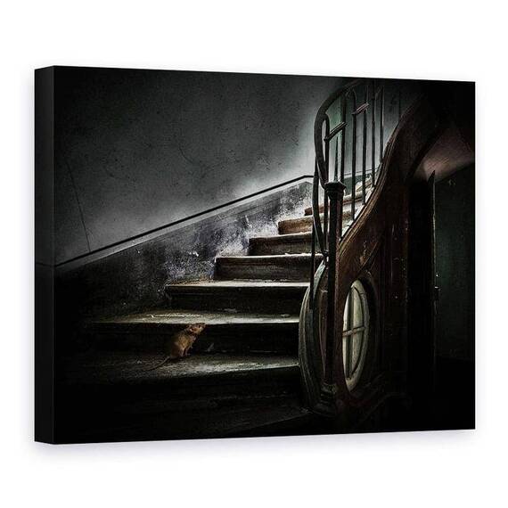 Tablou Canvas - Noul Proprietar, Marime: 75 x 100 cm - - Roveli