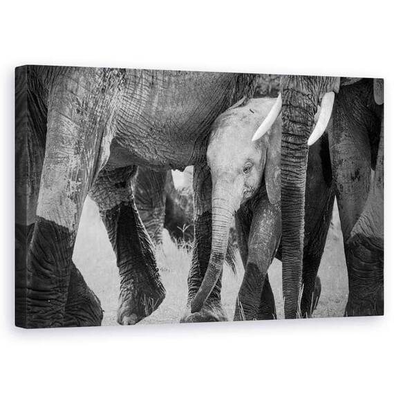 Tablou Canvas - Protectia Familiei, Marime: 50 x 80 cm - - Roveli