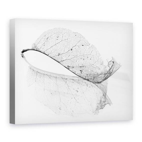 Tablou Canvas - Frunza Veche, Marime: 75 x 100 cm - - Roveli