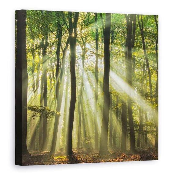 Tablou Canvas - Sunny Incepe Ziua, Marime: 90 x 90 cm - - Roveli